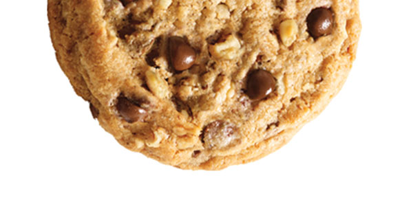 Chocolate Chip Cookie Close Up