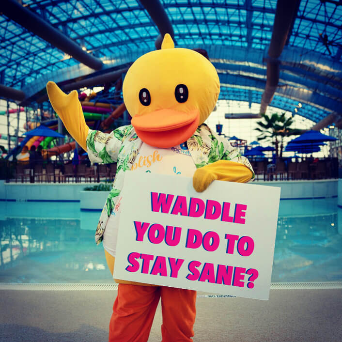 Waddle You Do To Stay Sane Ducky